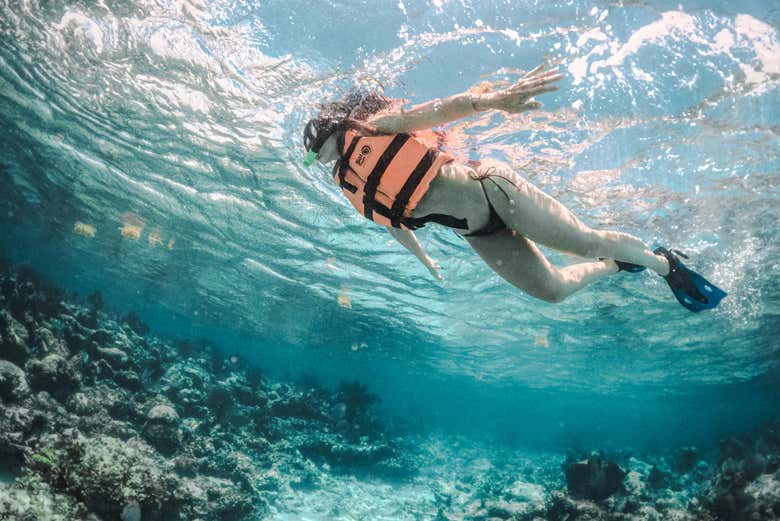 Excursión a Isla Contoy e Isla Mujeres