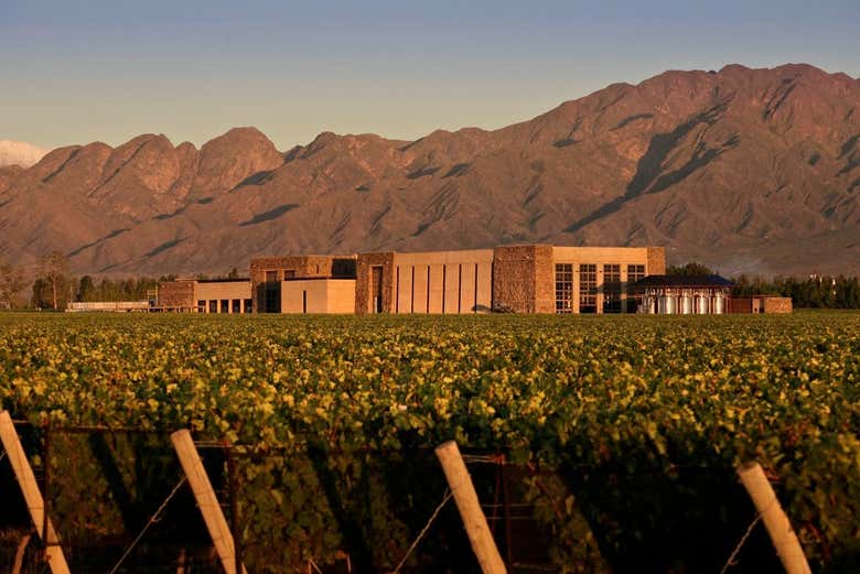 Tour privado por las bodegas de Luján de Cuyo - Galería 2