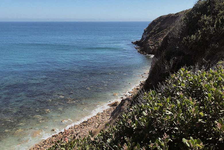 Excursión a Malibú en furgoneta Volkswagen + Surf - Galería 1