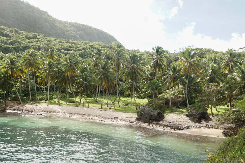 Tour en lancha rápida por las playas de Samaná