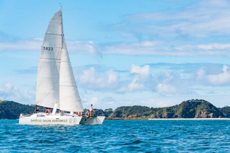 Tour en catamarán por Bahía de las Islas