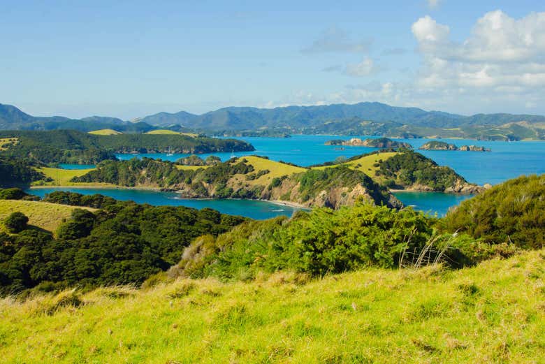 Tour en catamarán por Bahía de las Islas