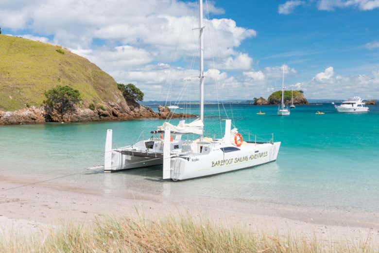 Tour en catamarán por Bahía de las Islas