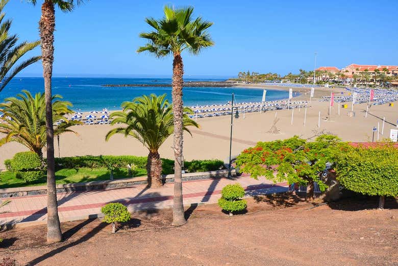 Alquiler de bicicleta en el sur de Tenerife