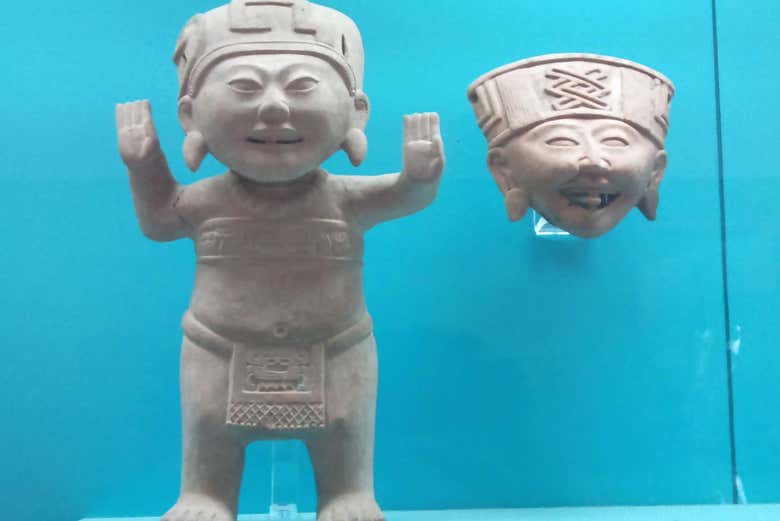 Excursión a Xalapa y Coatepec