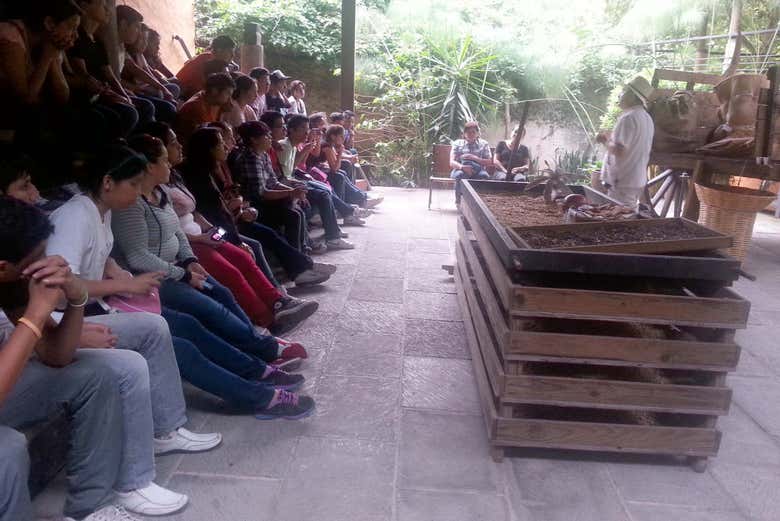 Excursión a Xalapa y Coatepec