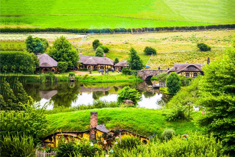 Excursión a Hobbiton + Cuevas de Waitomo