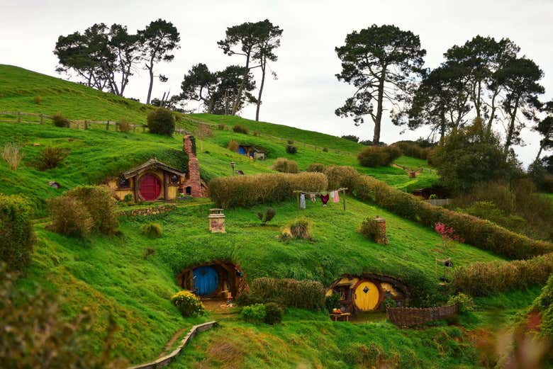 Excursión a Hobbiton + Cuevas de Waitomo - Galería 1