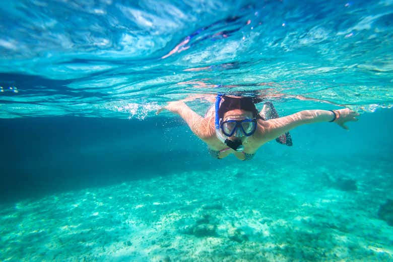Tour en 4x4 por Cozumel + Snorkel