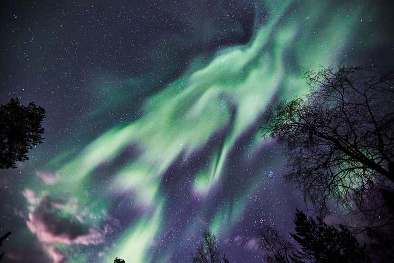 Tour fotográfico de la aurora boreal