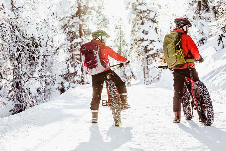 Tour en bicicleta eléctrica por el Parque Nacional Pyhä-Luosto