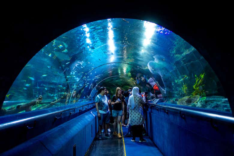 Entrada a Aquaria KLCC