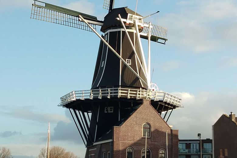 Tour privado por Haarlem