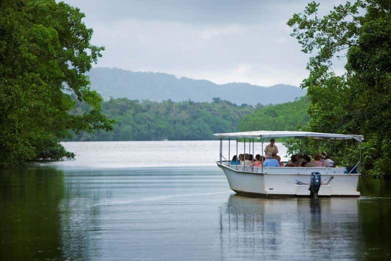 Excursión a Daintree, Mossman Gorge y Cape Tribulation - Galería 2