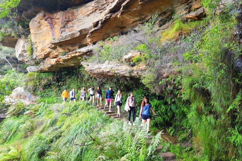 Excursión a las Montañas Azules