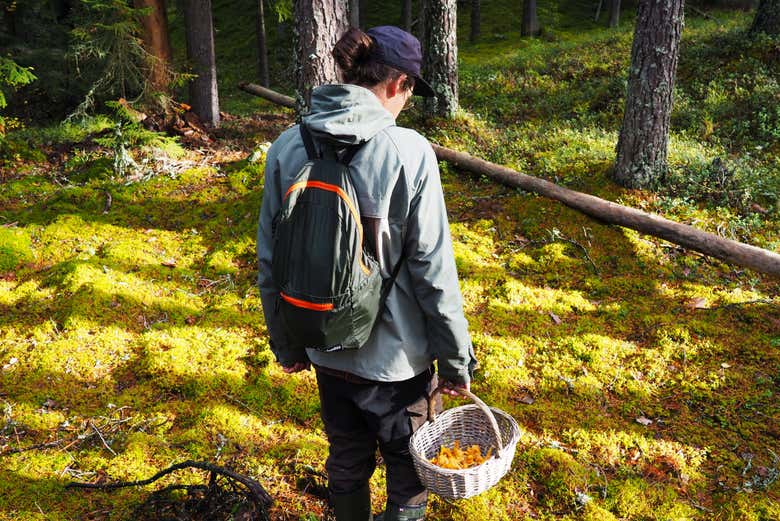 Senderismo por el Parque Nacional Liesjärvi