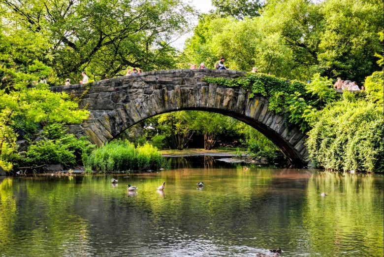 Tour de Nueva York al completo + Ferry de Staten Island