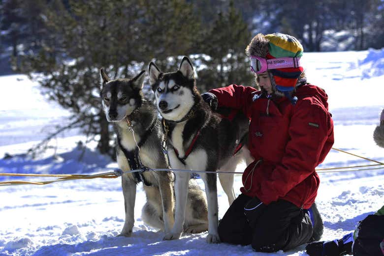 Paseo en trineo de perros por Grandvalira