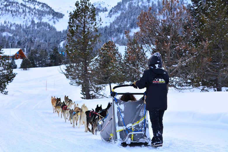 Paseo en trineo de perros por Grandvalira