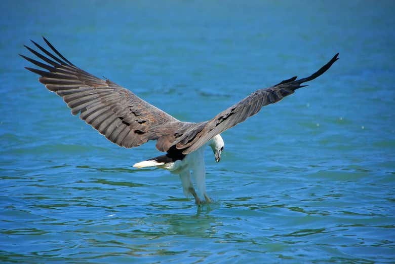 Excursión a la isla de Beras Basah