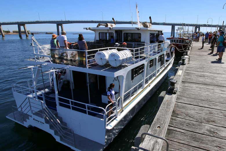 Paseo en barco por la Isla Phillip