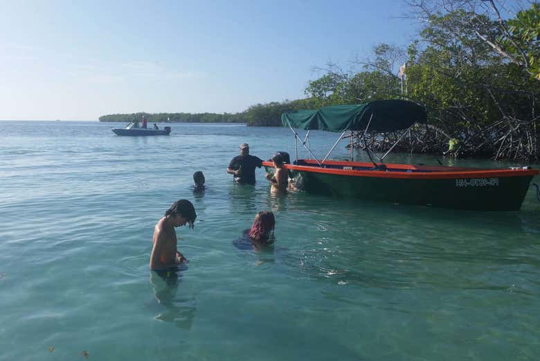Paseo privado en barco por la bahía bioluminiscente