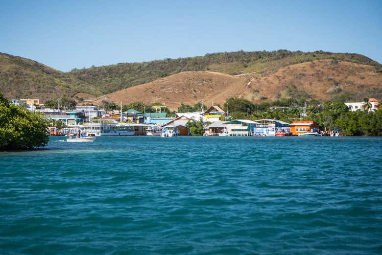 Paseo privado en barco por la bahía bioluminiscente
