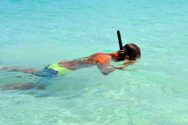 Snorkel en La Parguera