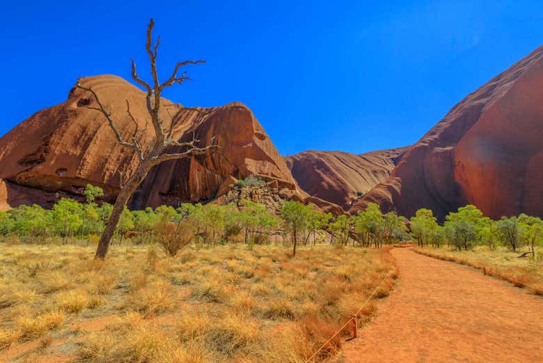 Alquiler de bicicleta en Uluru-Kata Tjuta
