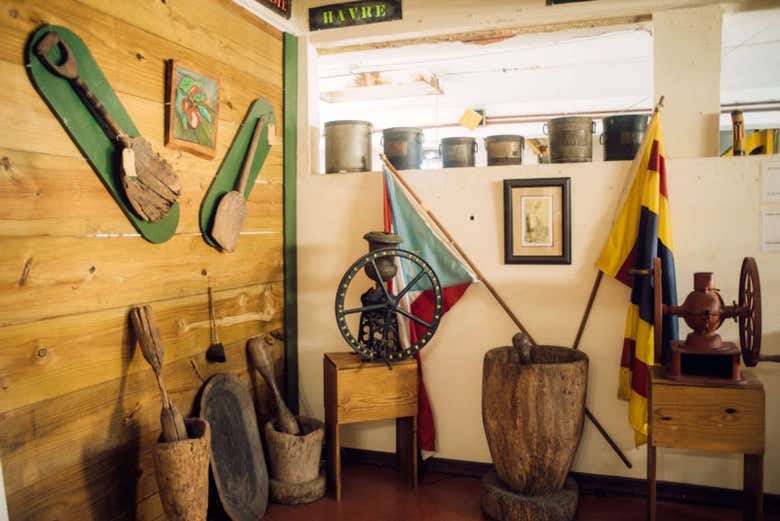 Excursión al Museo del Café de Ciales