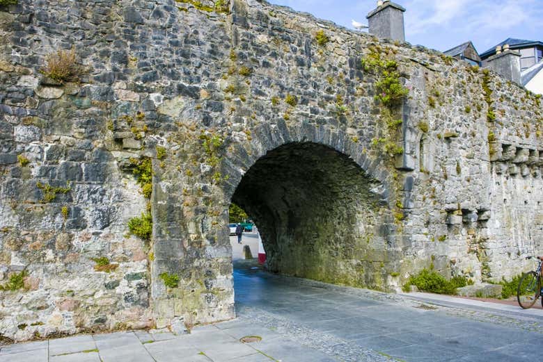 Excursión a los acantilados de Moher y Galway - Galería 2
