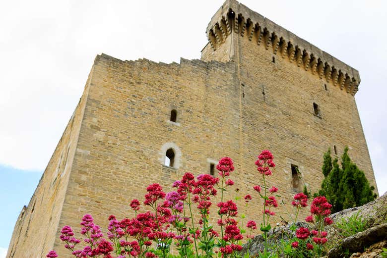 Excursión a Aviñón, Châteauneuf du Pape y Les Baux
