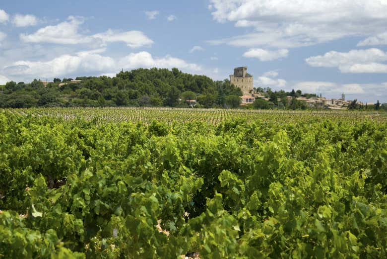 Excursión a Aviñón, Châteauneuf du Pape y Les Baux - Galería 2