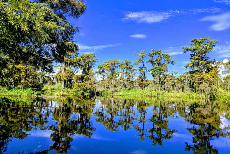 Paseo en barco por la Reserva de Barataria