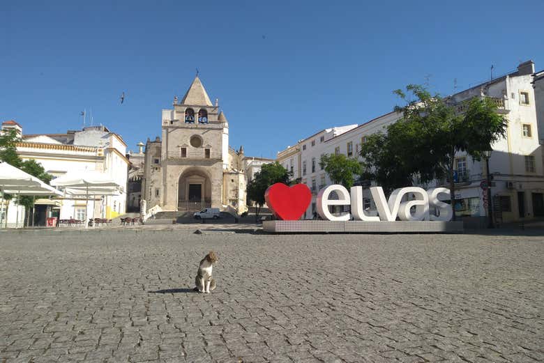 Visita guiada por Elvas