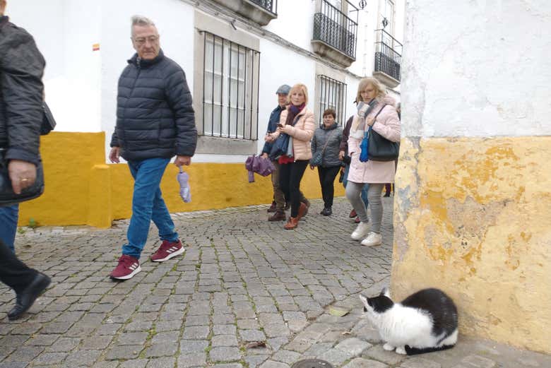 Visita guiada por Elvas