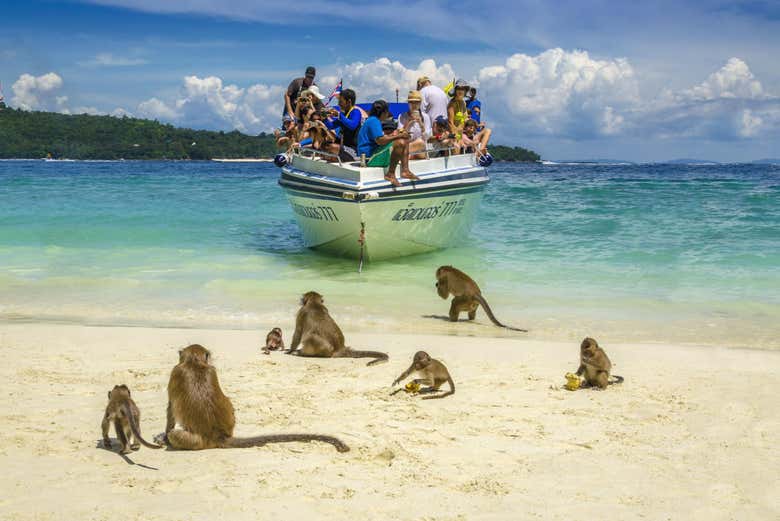 Ferry a las islas Phi Phi