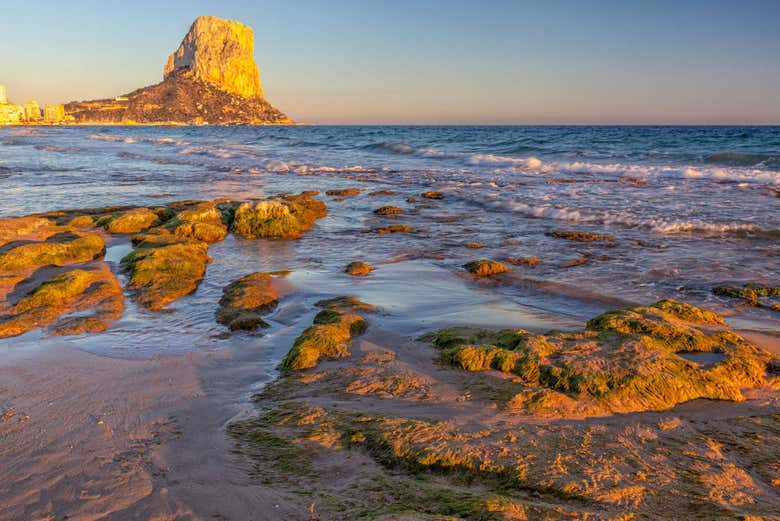 Paseo en catamarán al atardecer