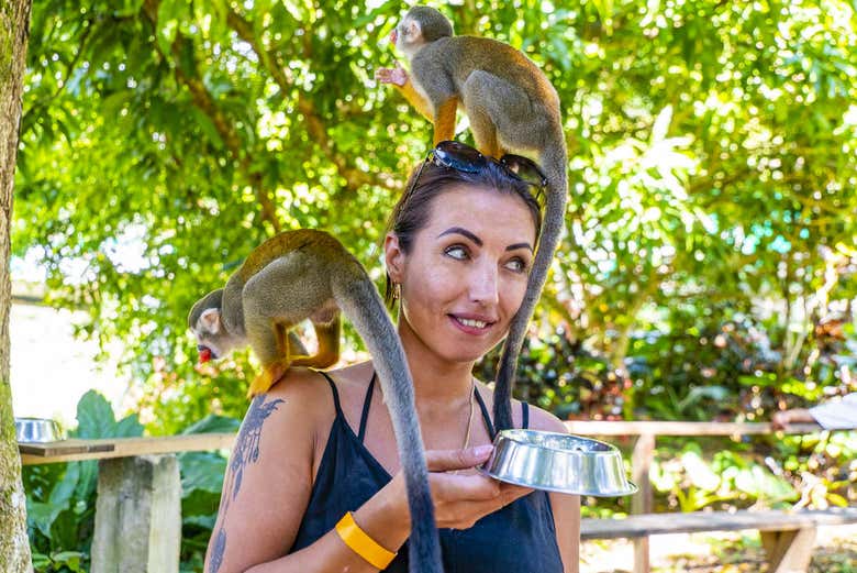 Excursión a Monkeyland - Galería 2
