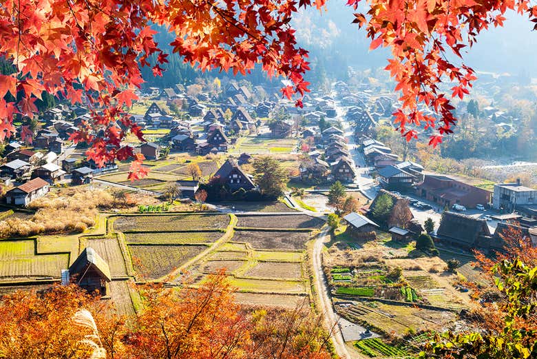 Excursión a Takayama y Shirakawago