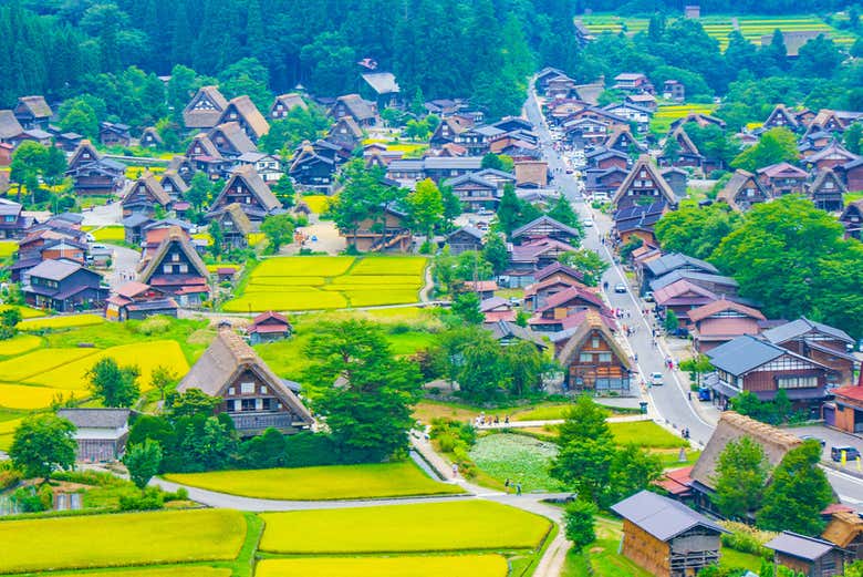 Excursión a Takayama y Shirakawago