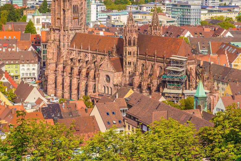 Tour privado por Friburgo de Brisgovia