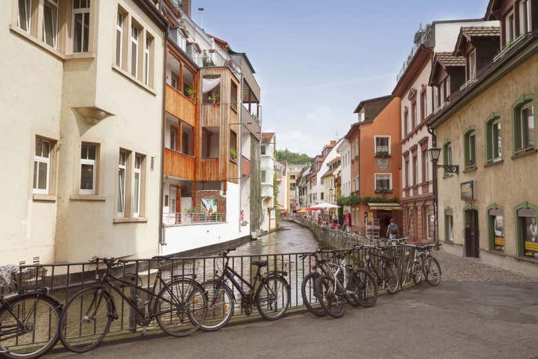 Tour privado por Friburgo de Brisgovia