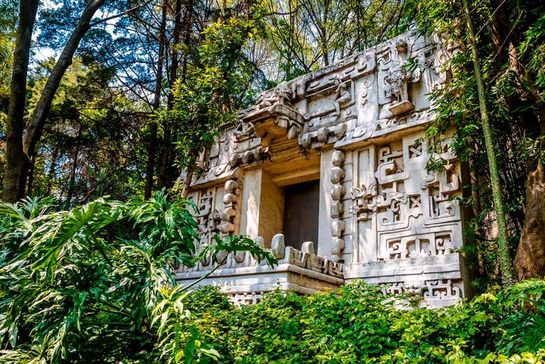 Visita guiada por el Museo Nacional de Antropología