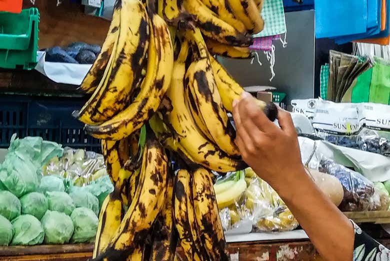 Tour gastronómico por Ciudad de México
