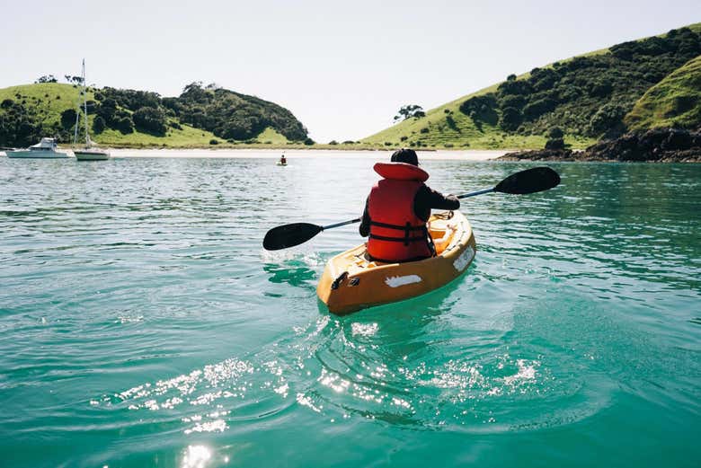 Excursión en barco por Bahía de las Islas