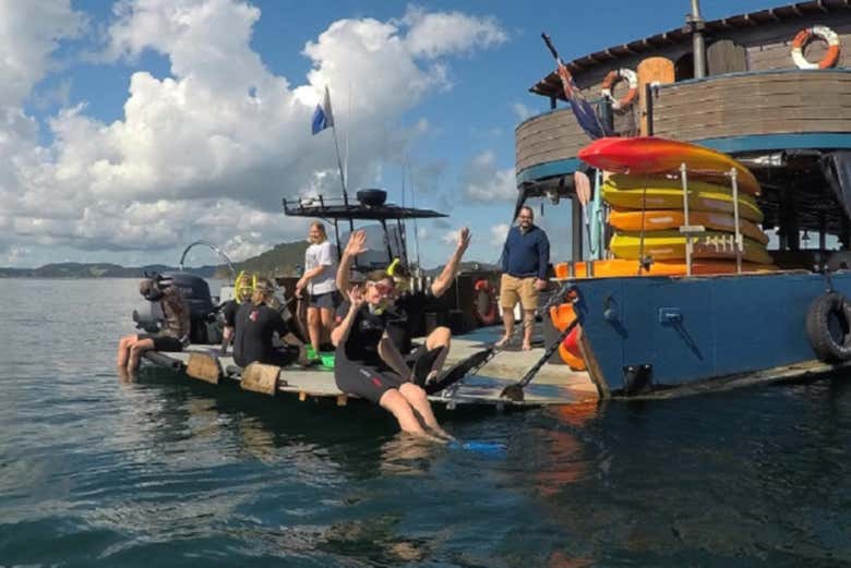 Excursión en barco por Bahía de las Islas