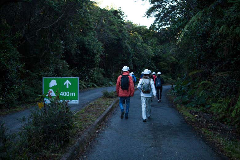 Excursión al Parque Nacional Volcán Poás