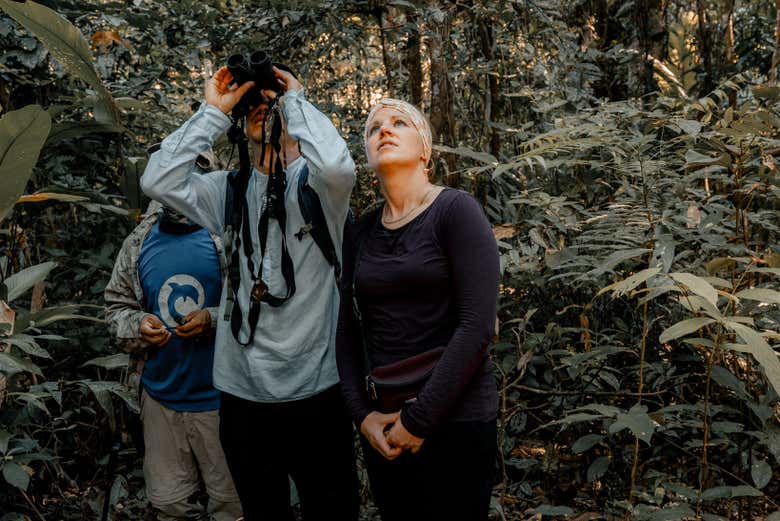 Tour de 4 días por el Río Yanayacu con avistamiento de aves