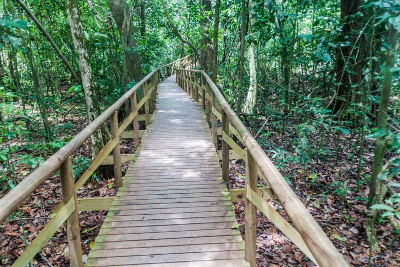 Excursión al Parque Nacional Manuel Antonio